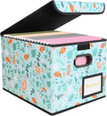 BALEINE File Organizer Box by BALEINE