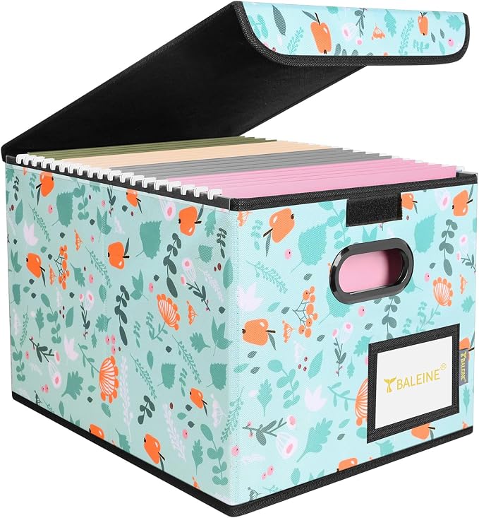 BALEINE File Organizer Box by BALEINE