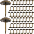100pcs Round Head Thumb Tacks for Wall, Bronze Pins, 0.4 x 0.6 in | Heavy Duty by Unknown