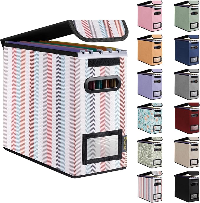 BALEINE File Organizer Box by BALEINE