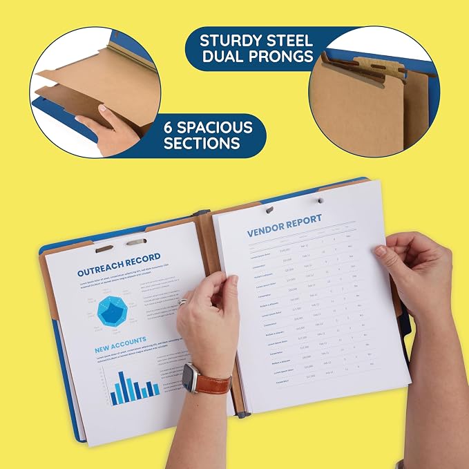 10 Blue Classification Folders - Image 3
