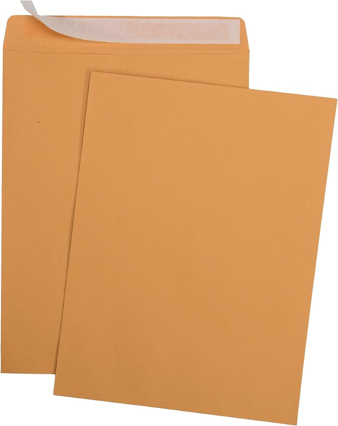 Aimoh 9 X 12 Self-Seal Brown Kraft Catalog Mailing Envelopes - 28lb - 100 Count - Image 2