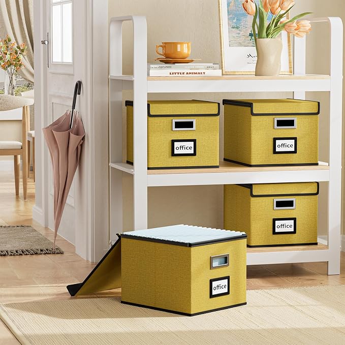File Organizer Box with Lid, Collapsible File Folder Organizer - Image 2