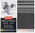 PANDAFLY 12 Pieces Professional Drawing Sketching Pencil Set, Graphite Pencils by PANDAFLYArtSupplies