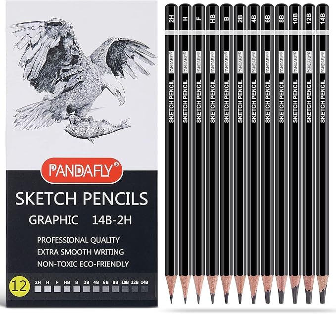 PANDAFLY 12 Pieces Professional Drawing Sketching Pencil Set, Graphite Pencils by PANDAFLYArtSupplies