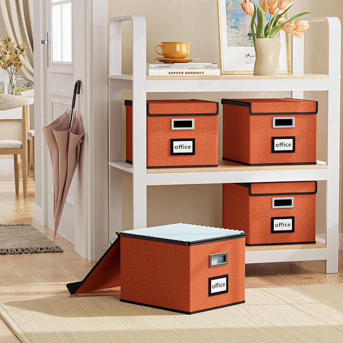File Organizer Box with Lid, Collapsible File Folder Organizer - Image 2