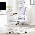 Fizzin Ergonomic Office Chair, 400 LBS Desk Chair by Unknown