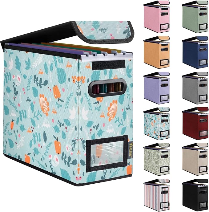BALEINE File Organizer Box by BALEINE