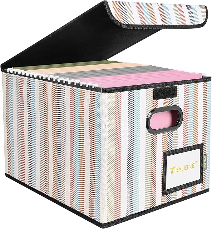 BALEINE File Organizer Box by BALEINE
