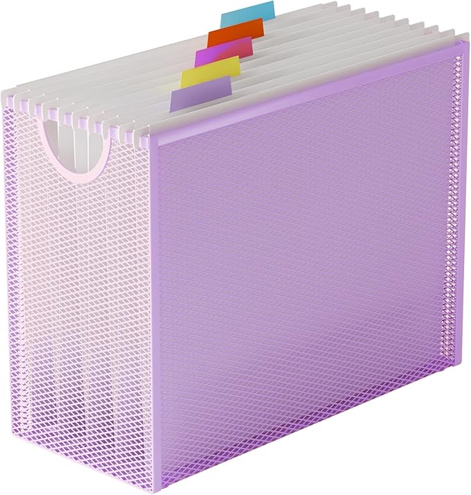 Hanging File Organizer, Letter-Size File Holder Filing Box by GoldOrcle