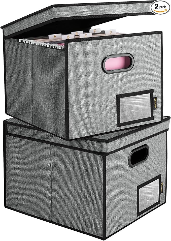 BALEINE File Organizer Box by BALEINE