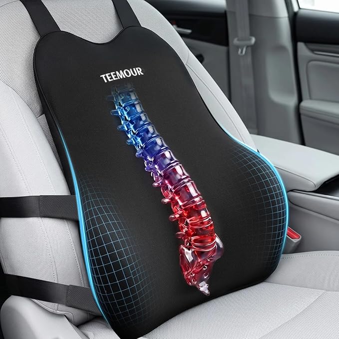 Teemour Lumbar Support Pillow for Car Seat, Memory Foam Back Support Pillow by Teemour