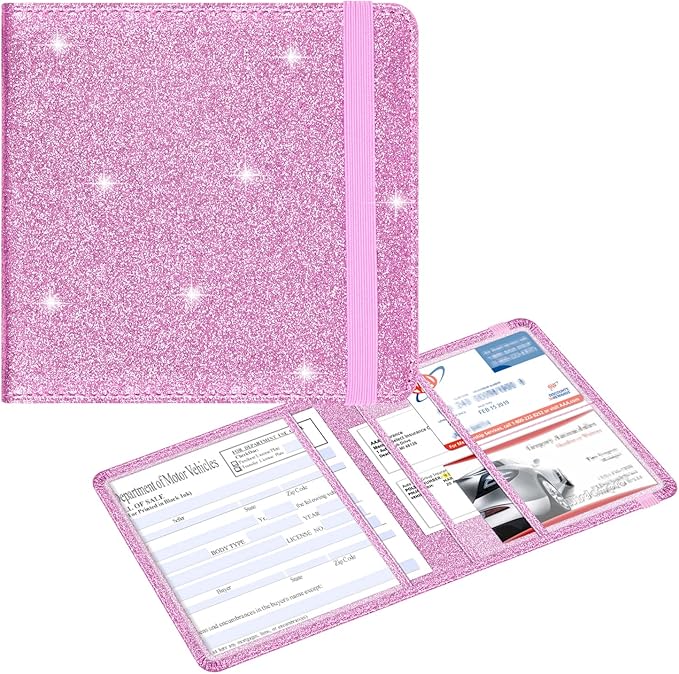 Wisdompro Small Car Registration and Insurance Documents Holder by Wisdompro