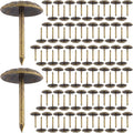 100pcs Metal Thumb Tacks for Wall, Bronze Push Pins, 0.4" x 0.6" | Heavy Duty by Unknown