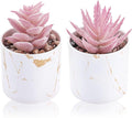 Der Rose Set of 2 Succulents Plants Artificial Mini Fake Succulents Plants by DerRose