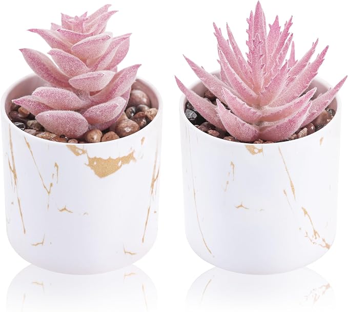 Der Rose Set of 2 Succulents Plants Artificial Mini Fake Succulents Plants by DerRose