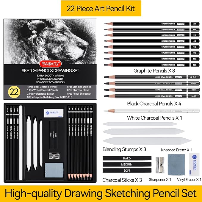 PANDAFLY Drawing Sketching Pencil Set, 22 Piece Pro Art Pencil Kit - Image 2