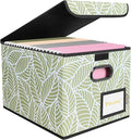 BALEINE File Organizer Box by BALEINE