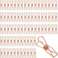 100 Pcs Paper Clips Metal Wire Hollow Out Clothespins Multi Purpose Utility by Sabary
