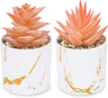 Der Rose Set of 2 Fall Artificial Succulent Plants, Mini Fake Succulents by DerRose