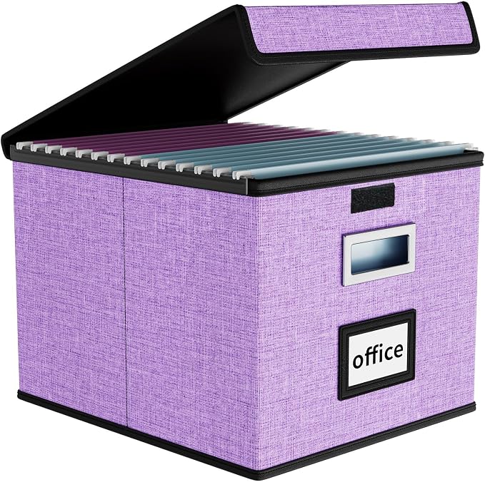 File Organizer Box with Lid, Collapsible File Folder Organizer by Huolewa