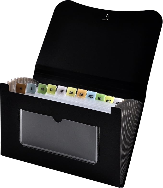 Lion 13-Pocket Small Ex panding File, 5-3/4 x 8-1/2 Inches, 1 File by LION