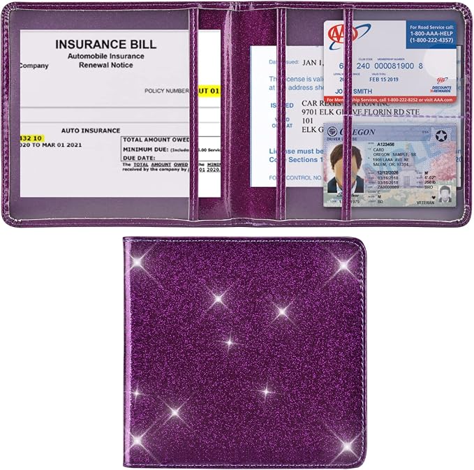 Cacturism Car Registration and Insurance Holder, Vehicle Glove Box Car by CACTURISM
