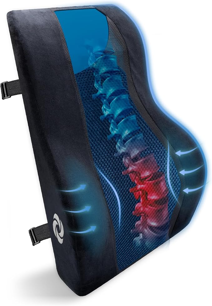 Samsonite Memory Foam Lumbar Support Pillow, Ergonomic Back Cushion by Samsonite