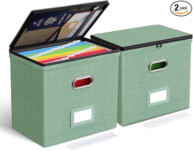 Oterri 2 Pack File Organizer Boxes by Oterri