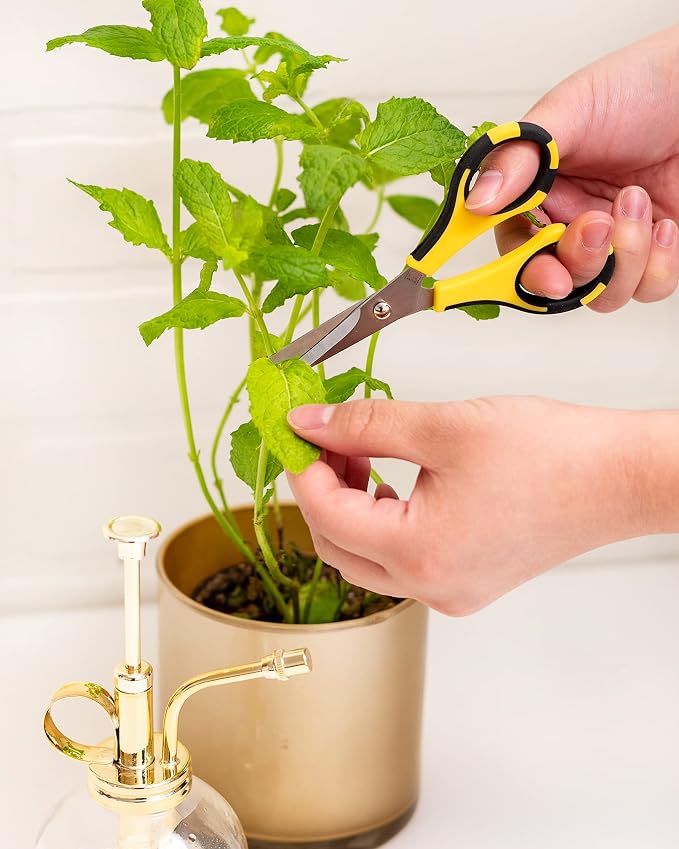 American Crafts Cutter Bee Herb Scissors 4/Pkg-Yellow/Black - Image 6