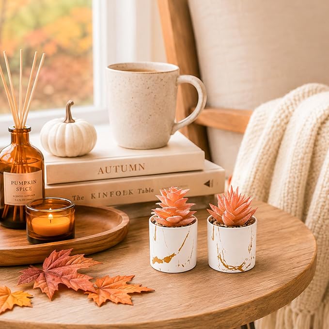 Der Rose Set of 2 Fall Artificial Succulent Plants, Mini Fake Succulents - Image 3