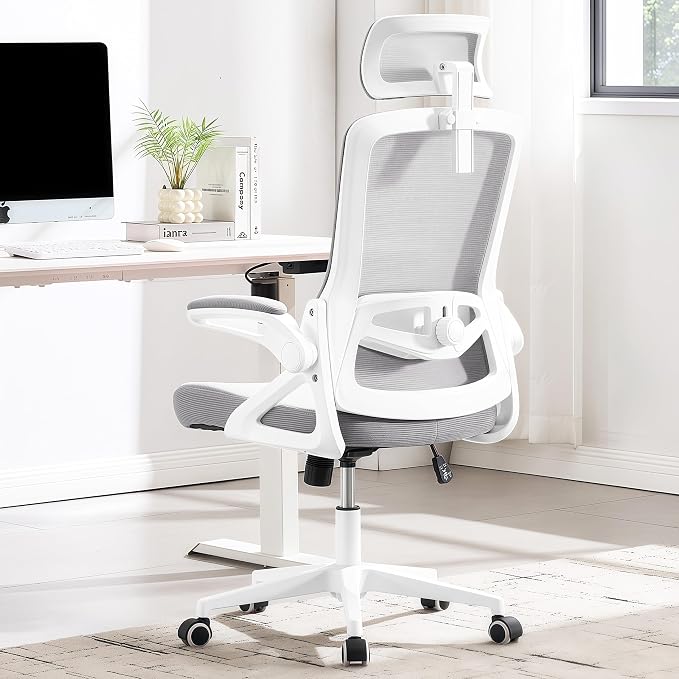 Fizzin Ergonomic Office Chair, 400 LBS Desk Chair by Unknown