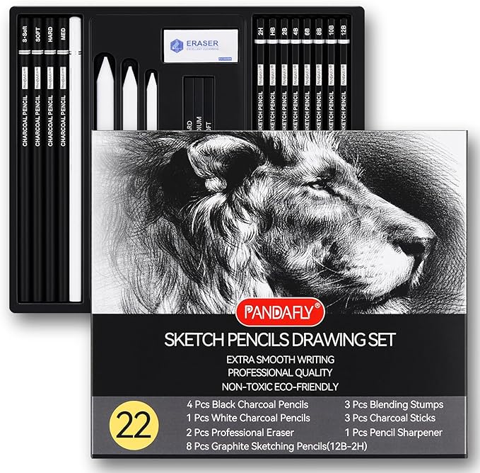 PANDAFLY Drawing Sketching Pencil Set, 22 Piece Pro Art Pencil Kit by PANDAFLYArtSupplies