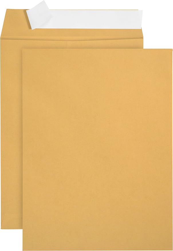 Blue Summit Supplies 100 6 x 9" Kraft Catalog Envelopes, Self Seal | 28lb kraft by BlueSummitSupplies