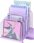 Delifox Inclined Desk File Organizer, Vertical File Folder Holder Stand Metal by Delifox