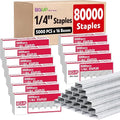 80000 Staples, Standard Staples by BGUP