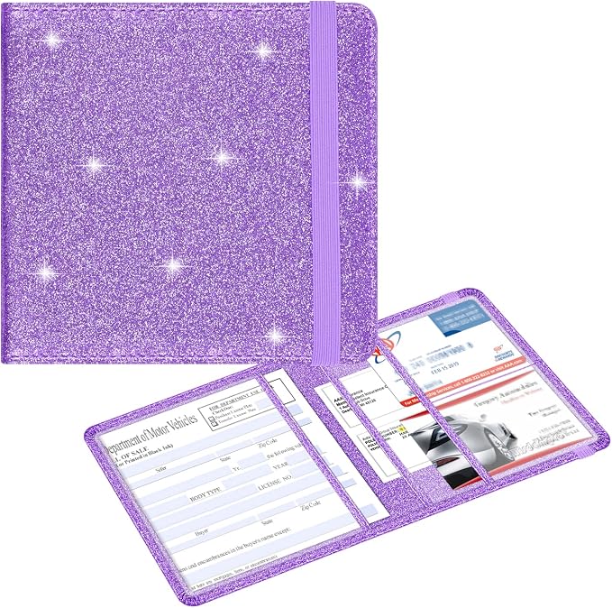 Wisdompro Small Car Registration and Insurance Documents Holder by Wisdompro