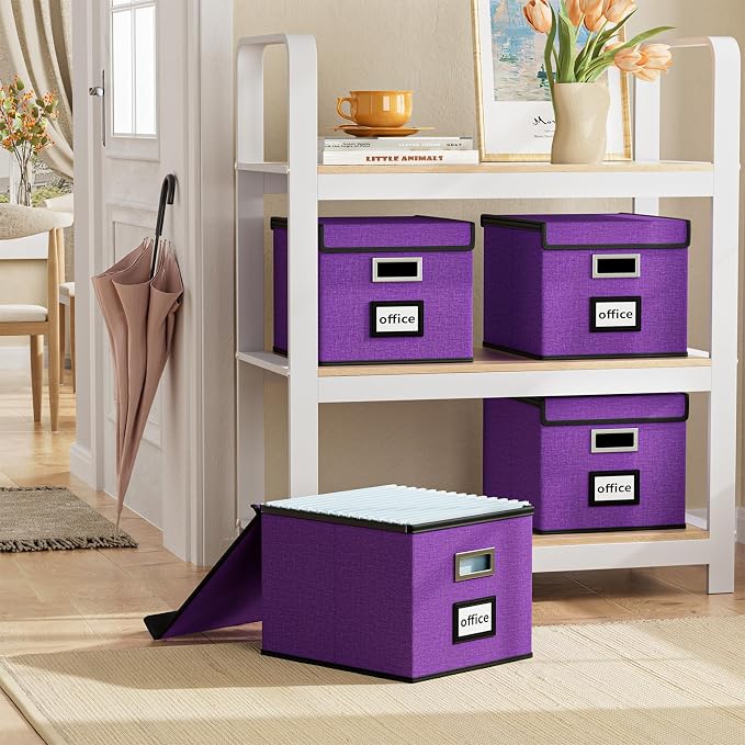 File Organizer Box with Lid, Collapsible File Folder Organizer - Image 2