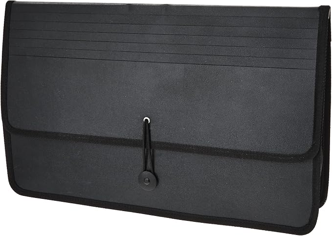 LION Expand-N-File Poly Expanding Wallet | Legal, 2-1/2 Inches gusset, 1 Wallet by LION