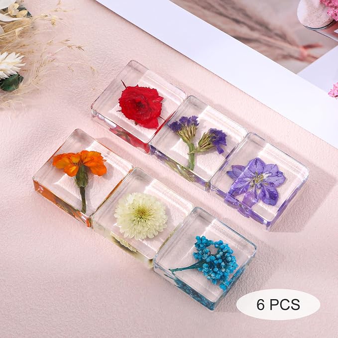 6Pcs Pressed Flower Paper Weights, Real Flower Resin Crafts, Pattern Weights - Image 3