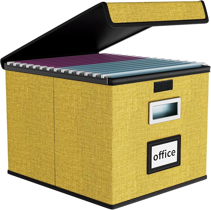 File Organizer Box with Lid, Collapsible File Folder Organizer by Huolewa