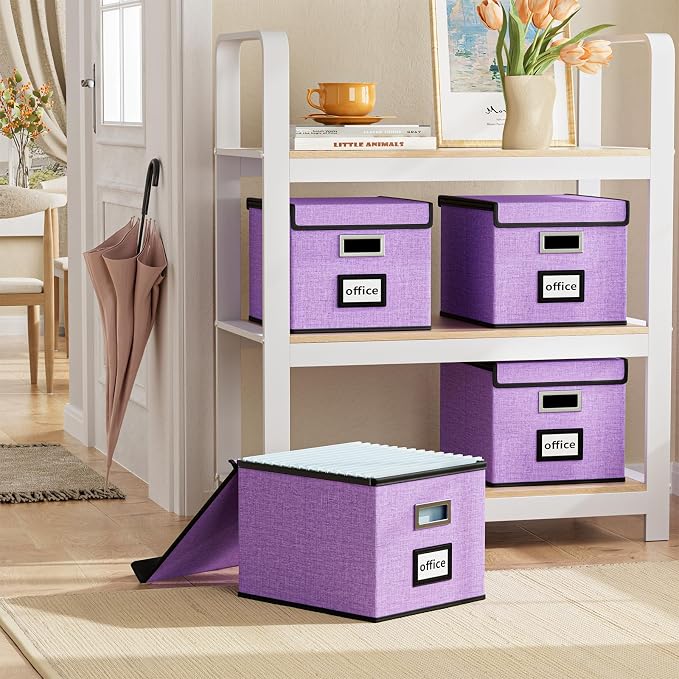 File Organizer Box with Lid, Collapsible File Folder Organizer - Image 2