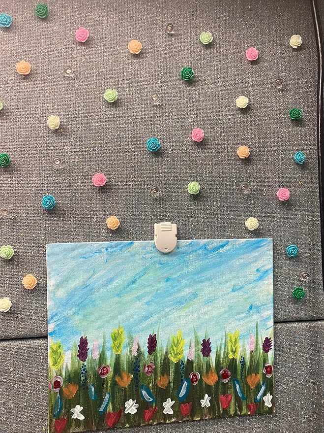 Push Pins for Cork Board - Image 8
