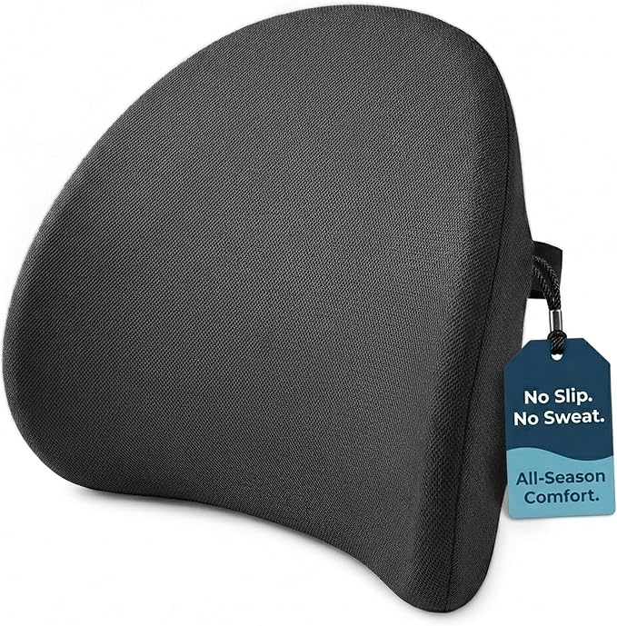Lumbar Support Pillow for Office Chair & Car Seat, All-Season Memory Foam for by SHAKERINO