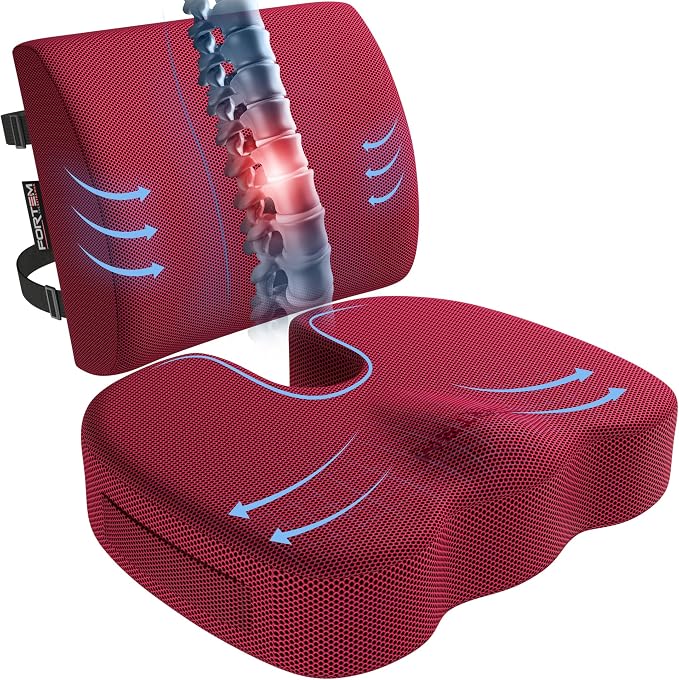 FORTEM Seat Cushion, Office Chair Cushion, Lumbar Support Pillow by FORTEM