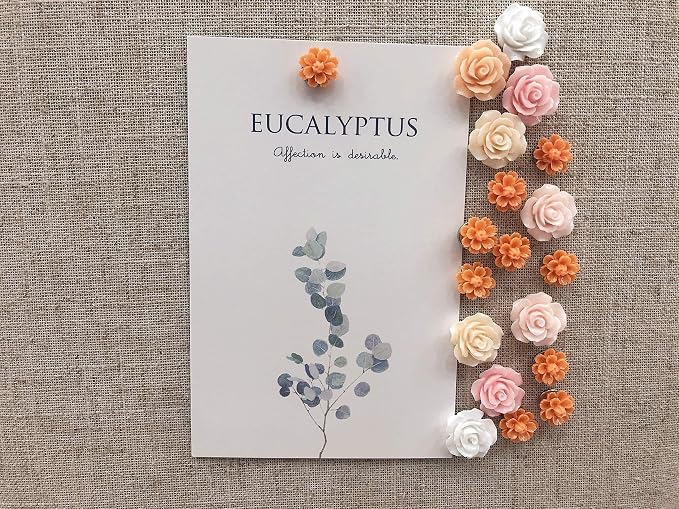 Temoyj Push Pins 24 Pcs, Decorative ThumbTacks - Image 5